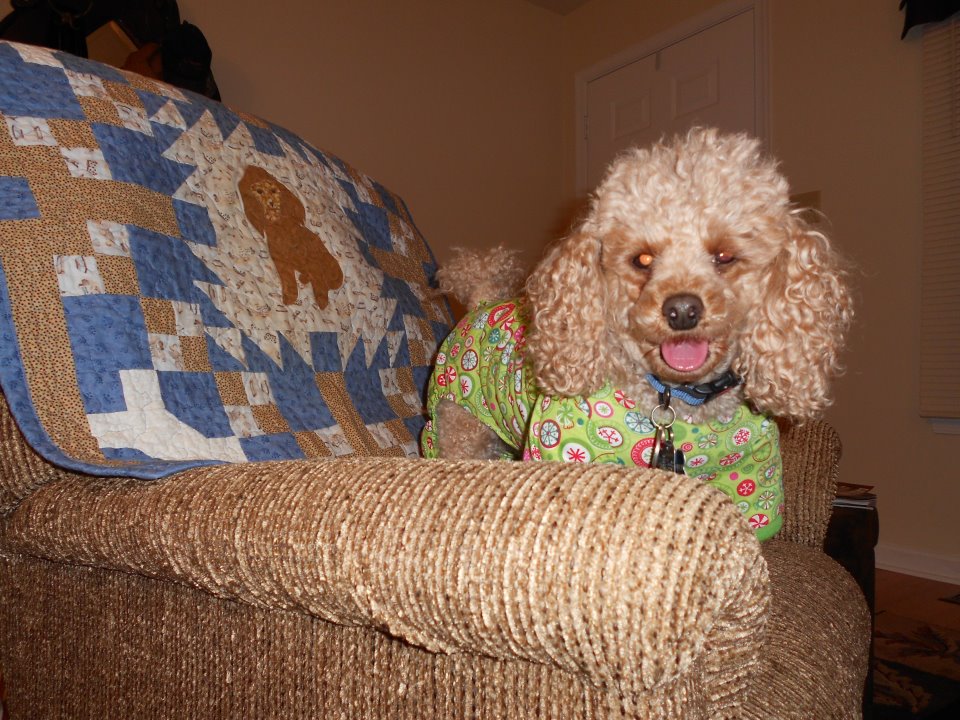Wilson with his quilt.